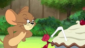 Tom and Jerry Tales Little Big Mouse