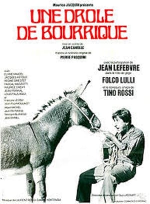 Poster The Donkey of Zigliara 1971