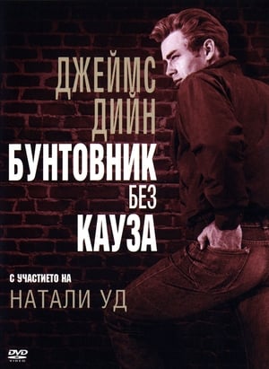 Poster Бунтовник без кауза 1955