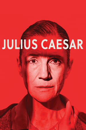 Poster Julius Caesar (2017)