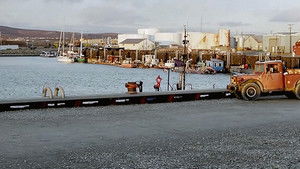 Bering Sea Gold: 2×1