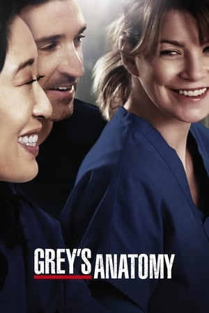 poster Grey's Anatomy - Season 3 Episode 14 : Wishin' and Hopin'