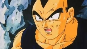 Dragon Ball Z Vegeta's Respect