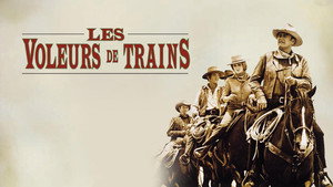 The Train Robbers 22