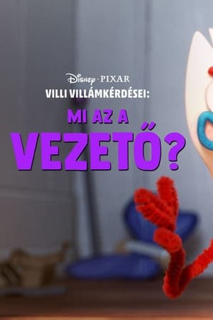 Villi villámkérdései: Mi az a vezető? 2019