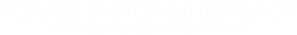 Queer Eye — Logos 1