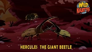 Wild Kratts Hercules – The Giant Beetle