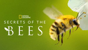 Secrets of the Bees