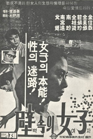A Woman in the Wall 2