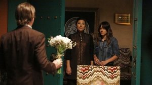 Marvel’s Agents of S.H.I.E.L.D.: 2×17