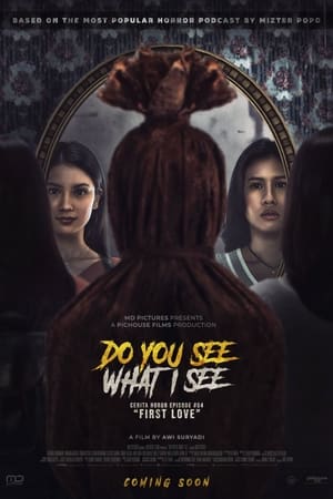 Do You See What I See 18