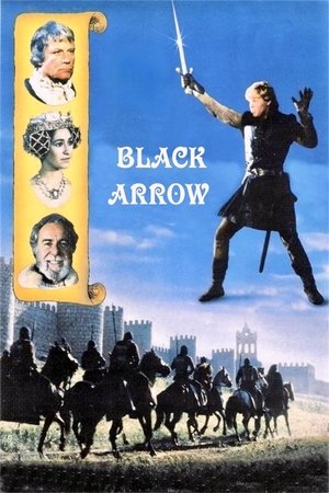 Poster Black Arrow 1985
