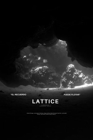 Lattice