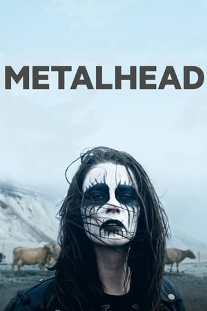 Poster Metalhead (2013)