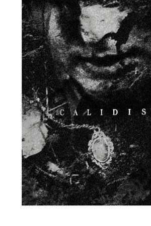 Calidis 7