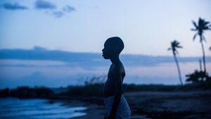 Moonlight: Sob a Luz do Luar