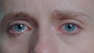 salt in our blood, in our sweat, in our tears