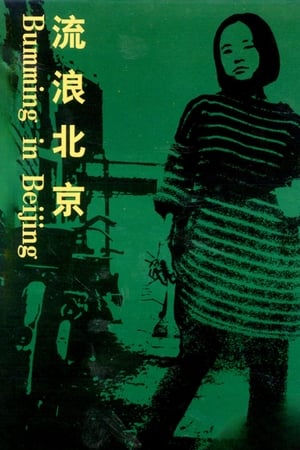 Poster Bumming in Beijing: The Last Dreamers (1990)