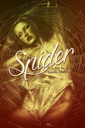 Spider poster