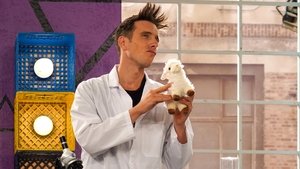 Cochon dingue: 5×19