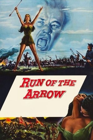 Run of the Arrow (1957)