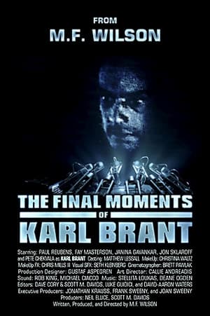 Poster The Final Moments of Karl Brant 2013
