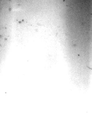Why is water so heavy? vol i, time never changed water