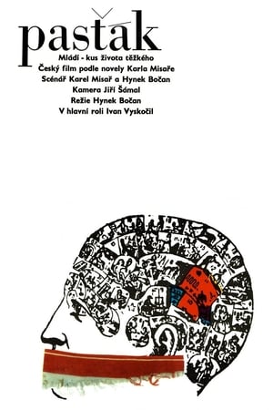 Poster Pasťák (1990)