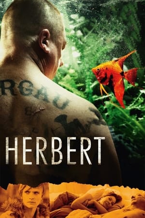 Herbert