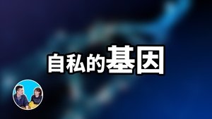 Episode 265