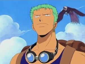 One Piece Season 9 Episode 290