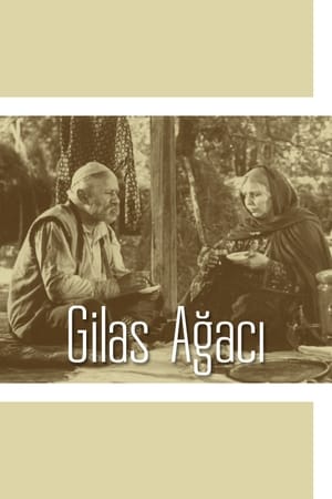 Image Gilas Ağacı