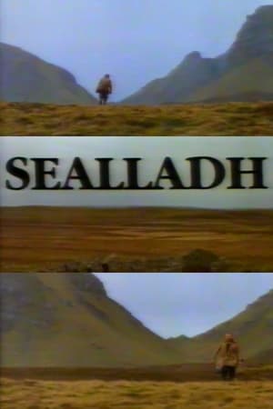 Poster Sealladh 1993