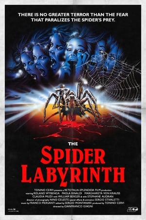 The Spider Labyrinth