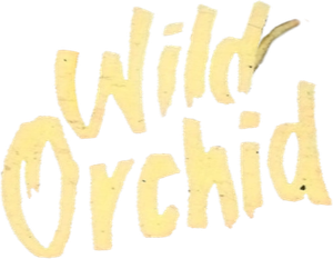 Wild Orchid