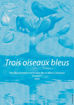 Trois oiseaux bleus 10