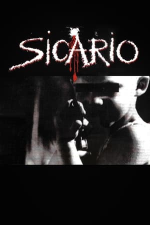 Poster Sicario 1994