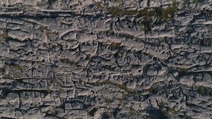 The Burren: Heart of Stone Symphony of Life