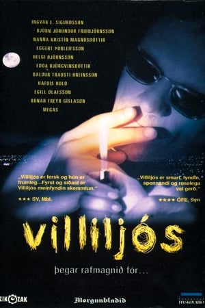 Poster Villiljós 2001