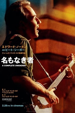 poster A Complete Unknown