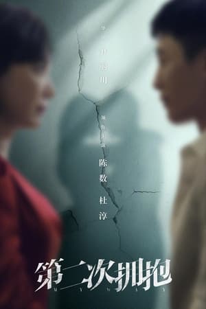 Poster 第二次拥抱 2022