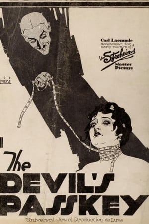 Poster The Devil's Passkey (1920)