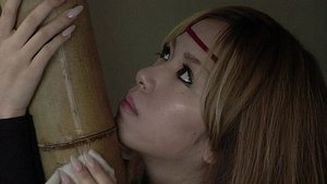 Twin Blades of the Ninja (2007)