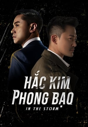 Image Hắc Kim Phong Bạo