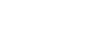 The Purchase Price