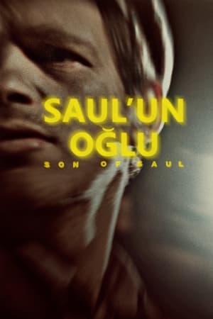 Poster Saul'un Oğlu 2015