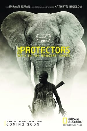 Poster The Protectors (2017)