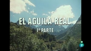 Episode 29
