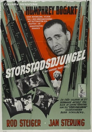 Storstadsdjungel 1956