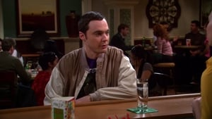 The Big Bang Theory Season 4 Episode 17